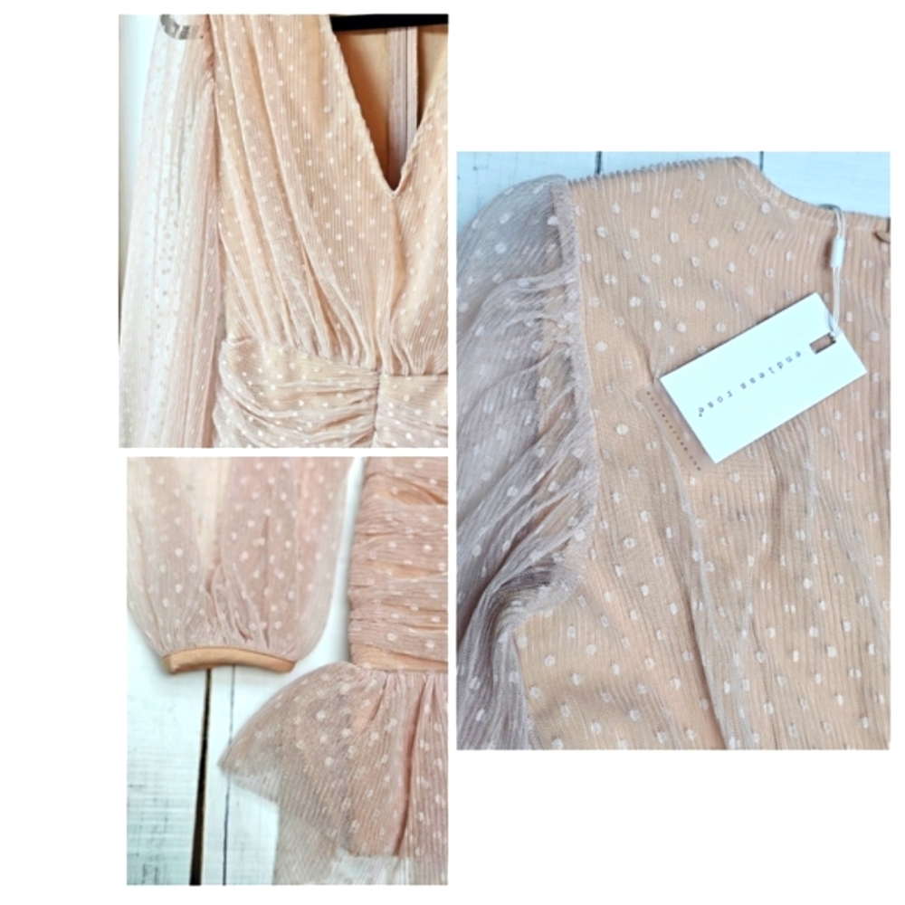 NEW Endless Rose Anthropologie Sheer Nude Pink Ruched Mini Dress Swiss Polka Dot - Picture 8 of 16